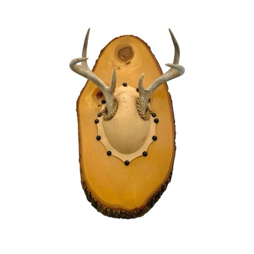 Deer antler wood plaque - antler,