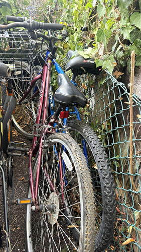 Giant cruiser bike purple - cruiser,