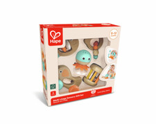 Hape Multi-Stage Sensory Gift