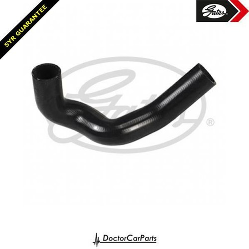 Radiator hose pipe - radiator, lower
