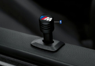 Genuine bmw performance set - m,