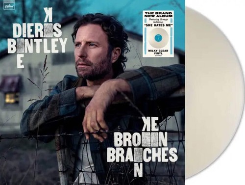 Dierks bentley broken - dierks,