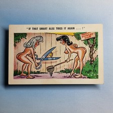 Saucy Comic Postcard 1972