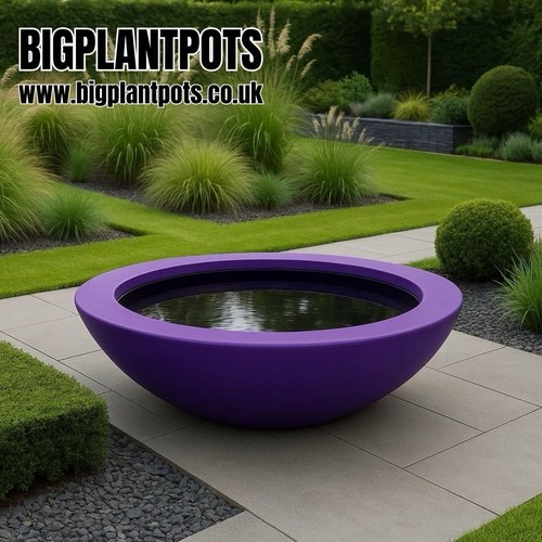 The curvy big - big, outdoor