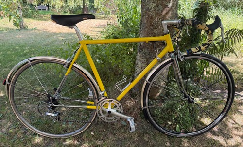 Vintage carlton raleigh - carlton,
