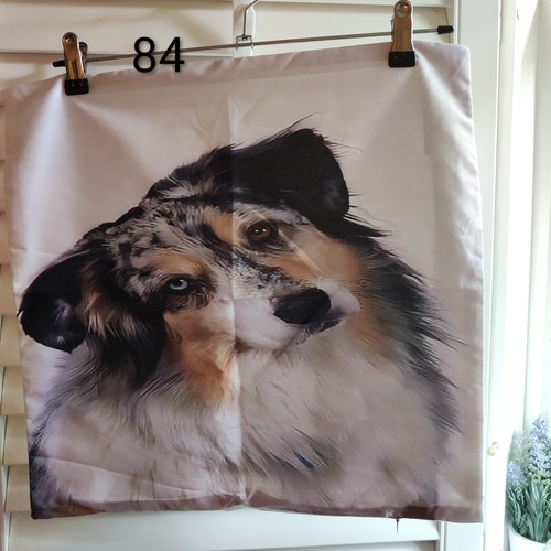 Australian shepherd soft - australian,