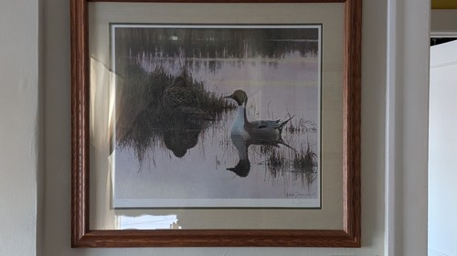 Framed limited edition artwork - limited,