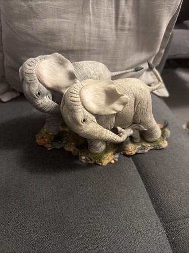 Tuskers facing the storm - the,