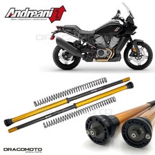 HARLEY-DAVIDSON Pan America