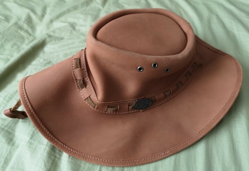 The original rogue men - the, brown