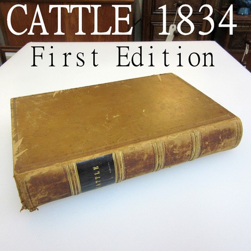 Antiquarian book 1834 cattle - antiquarian,