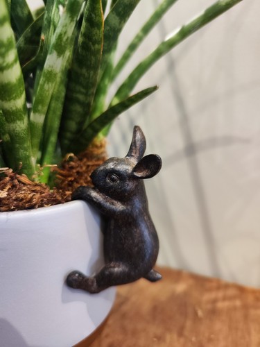 Hare plant pot hanger - plant,