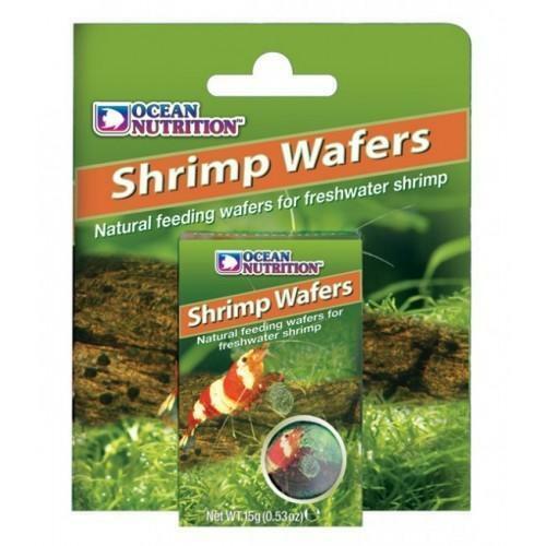 Ocean nutrition freshwater - ocean,