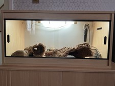 Wooden Reptile Vivarium Enclosure Tank with Accessories
