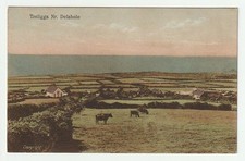 Treligga Nr. Delabole
