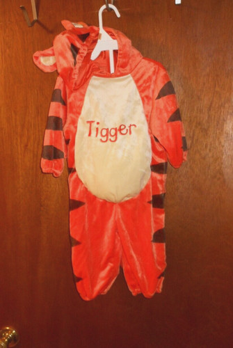 Disney baby winnie pooh - baby, tigger