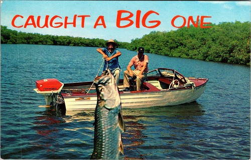 Postcard caught big one joke - postcard,