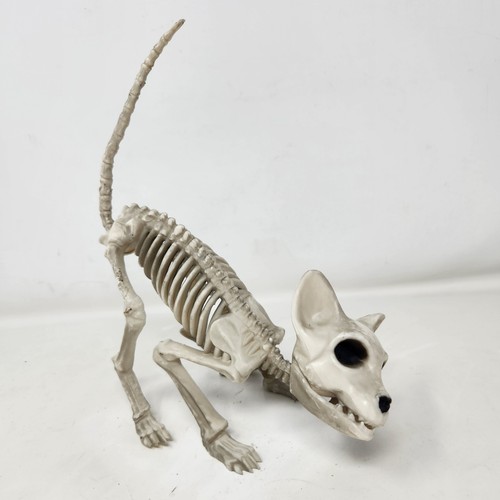 Seasons halloween cat skeleton - seasons,