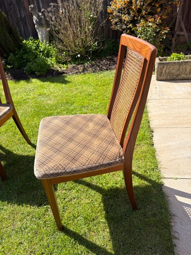 Plan rattan backed dining - g,