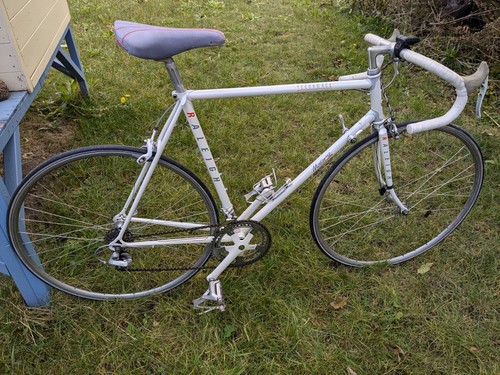 1989 raliegh record ace - 1989,