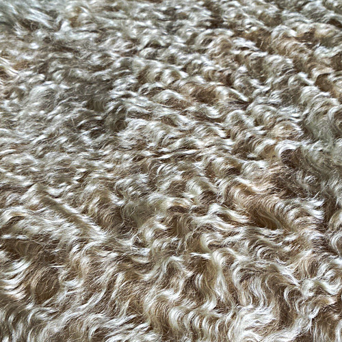 Light golden beige - light, curly