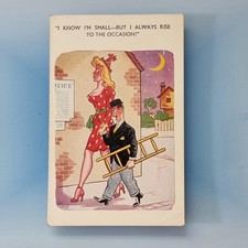 Saucy Comic Postcard C1965 Tall Lady Short Man Ladder Rise To Occasion Milla