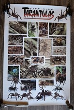 Vintage Aquarium Fishbowl Reptile Terrarium Tarantula Spider Variety 1994 Poster