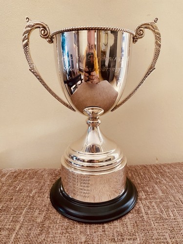 Silver trophy - 🏆, |
