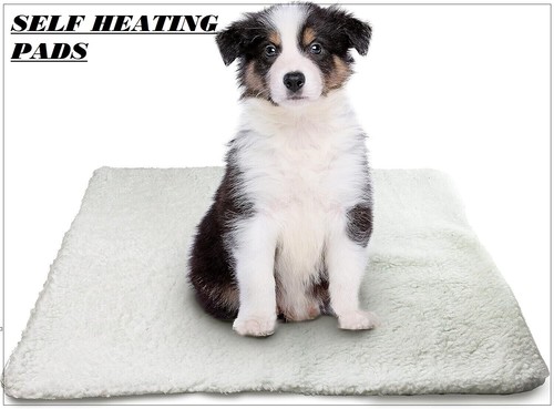 Self heating pet pads - heating,