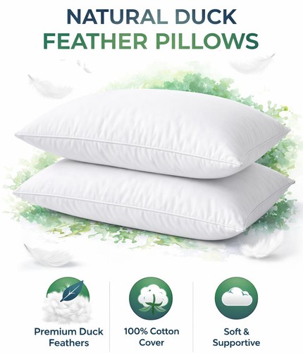 Duck feather down pillows - feather, &