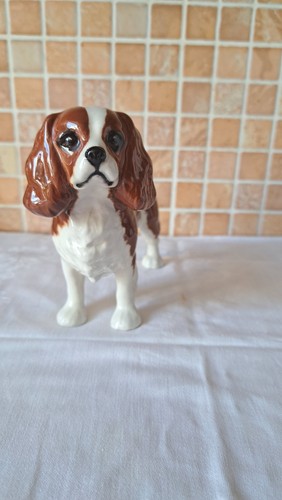 Beswick dog cavalier king - dog,