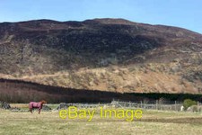 Photo 6x4 Paddock at