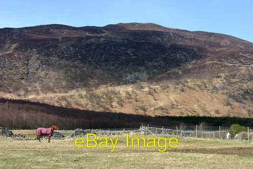 Photo 6x4 paddock - 6x4, at