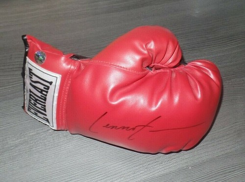 Lennox lewis boxing - lennox, *boxing