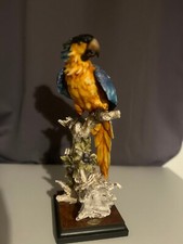 Giuseppe Armani Ararauna Macaw