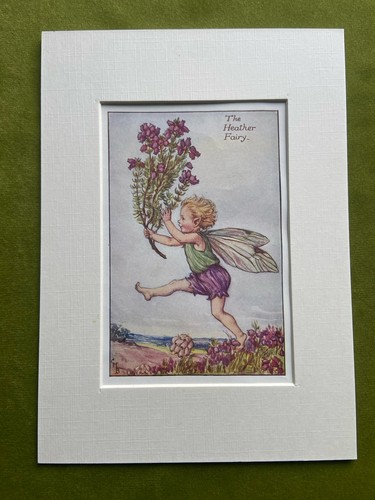 Heather flower fairy - ‘heather’,