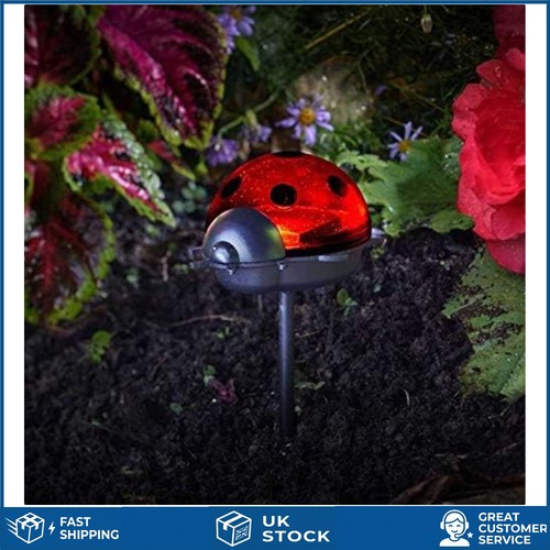 Vibrant solar powered - powered, ladybird