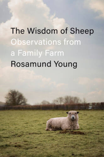 The wisdom sheep observatio - wisdom, of