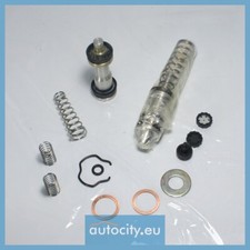 Girling SP4949 Repair Kit