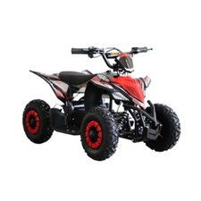 Electric E-Max Quad Bike 2026