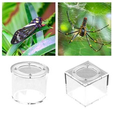 Spider Box Acrylic Terrarium