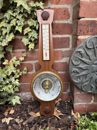 Vintage wood banjo weather - banjo,