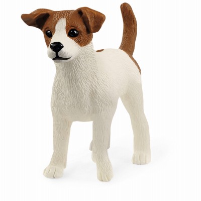 Pack jack russell - 5,