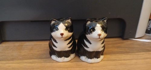 Cat salt and pepper - ,