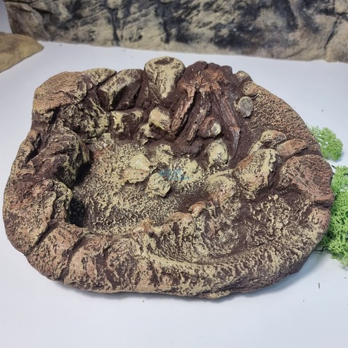 Natural resin reptile bath - natural,
