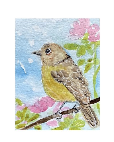 Aceo kenna original - by,
