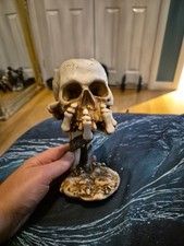   ? Skull Candle Holder Solid Quality