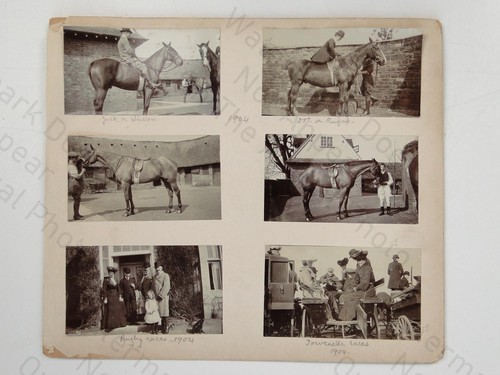 Equestrian horse riding - equestrian,