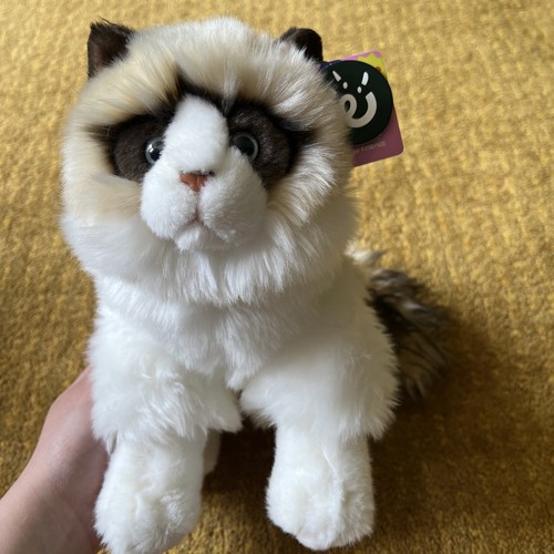 Ragdoll cat plush soft - ragdoll,