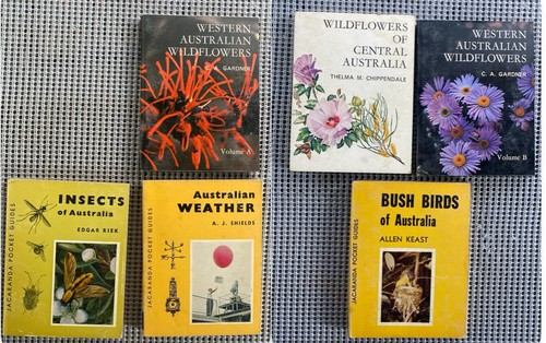 Australian nature field - australian,